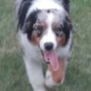 Meet your Posher, Jodi